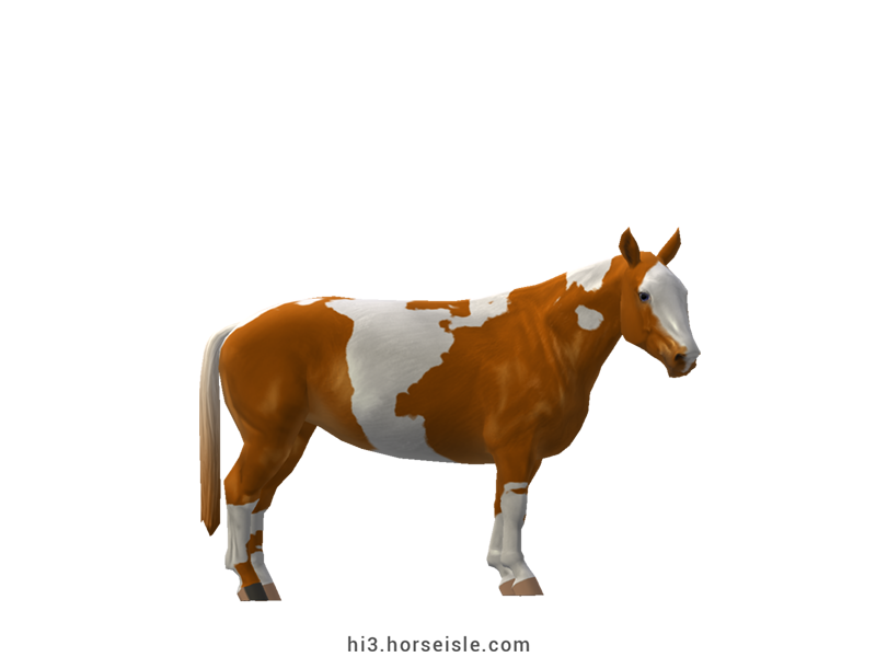 Cow-pony Holstein Chestnut Tobiano Coat
